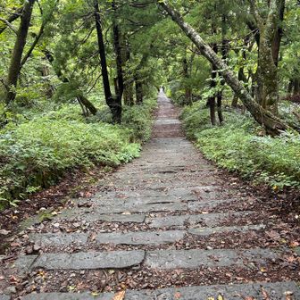 山道の階段