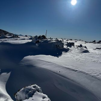 シュカブラを愛で