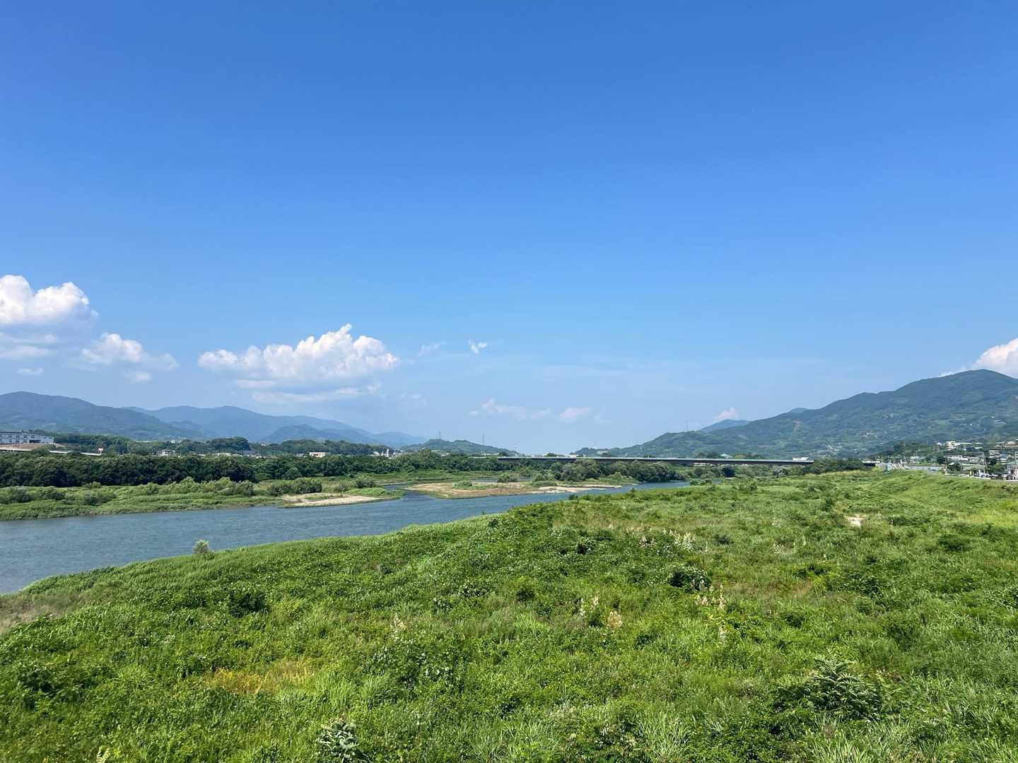 兵庫県の加古川でヌートリアやらカピバラやらが出るようだがここも出るのかなーなんて話をしてました。
