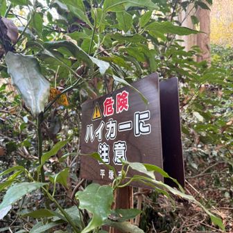 やはりハイカー<ハンターの模様