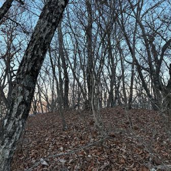 ４つ目のピーク