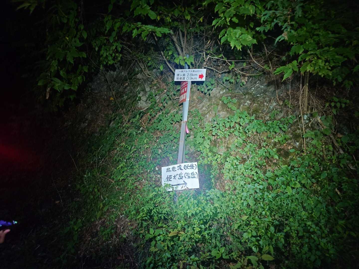 これ見ても全然頑張れんやろ🤣🤣🤣
ってタクシーに抜かされたけど、そのチームに負けるわけにはイカンやろーー💪