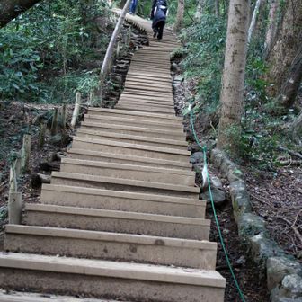 ６号路の階段