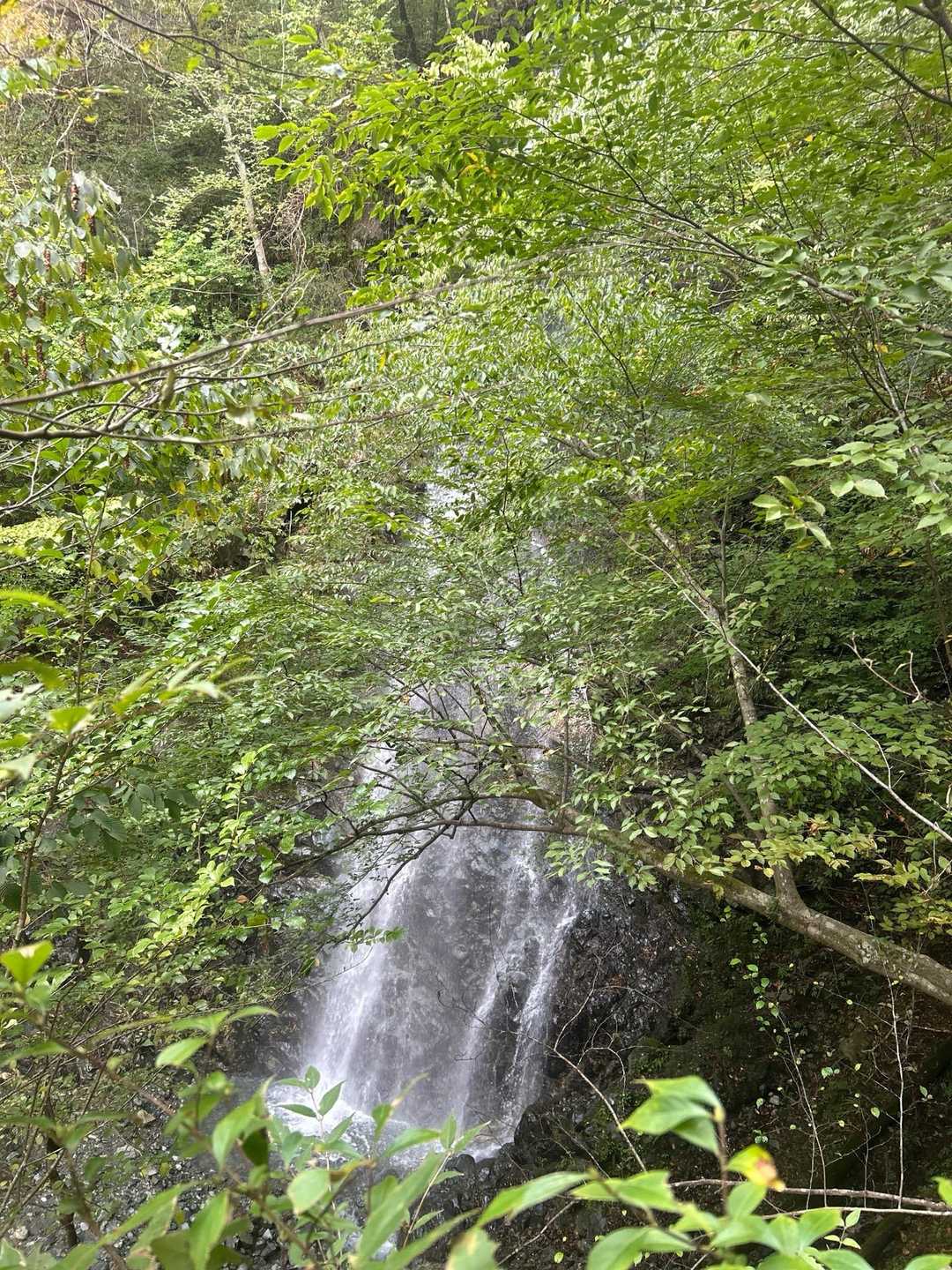 ミズヒ大滝。気づかず間違えて登山ルートでないところを無理矢理登ってしまったので、少し高い位置から見た様子。