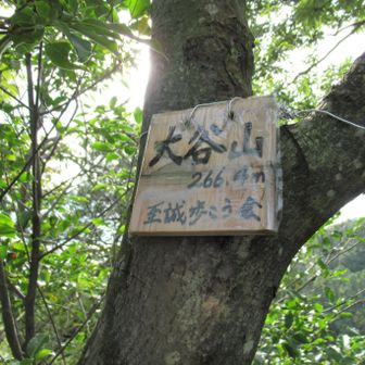 大谷山 　266m
おおたにやま