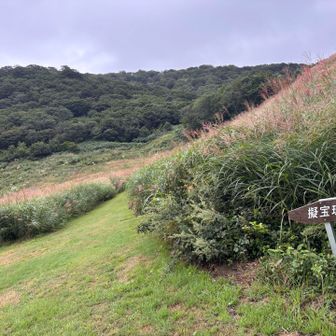雨大丈夫かな