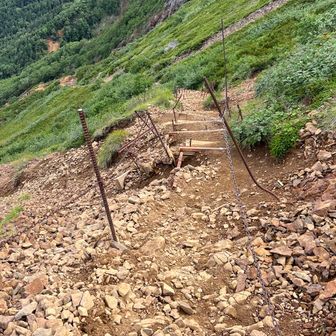 最初の岩場を過ぎれば、急だけど整備された道でストック使って降りれる