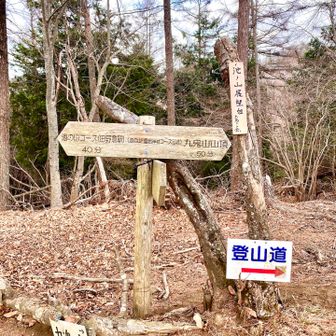 池の山展望台
展望はイマイチ…風もあって先を急ぐ！go!