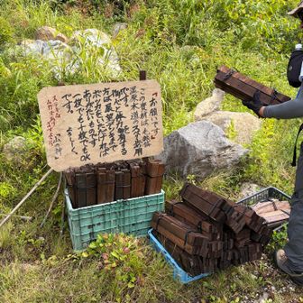 荷上げは毛無帯までとな。