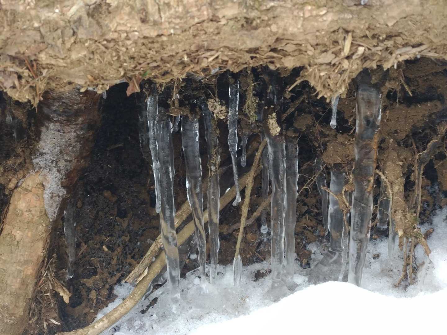氷柱