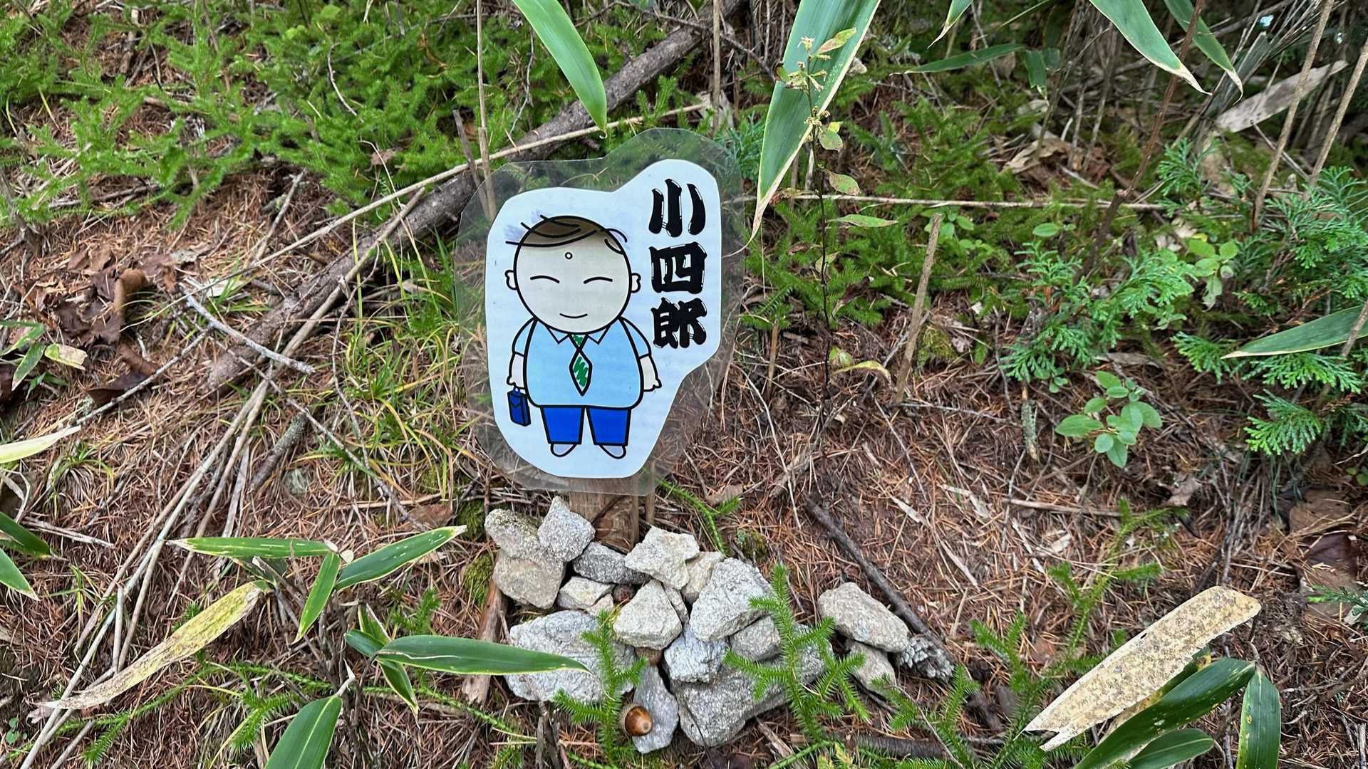 鳩打峠-小八郎岳-烏帽子岳 周回コースの写真