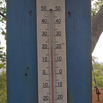 気温は22℃
うーん、気持ちいい