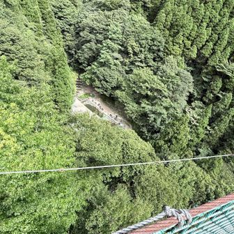 吊り橋の下に渓流釣りの施設見える