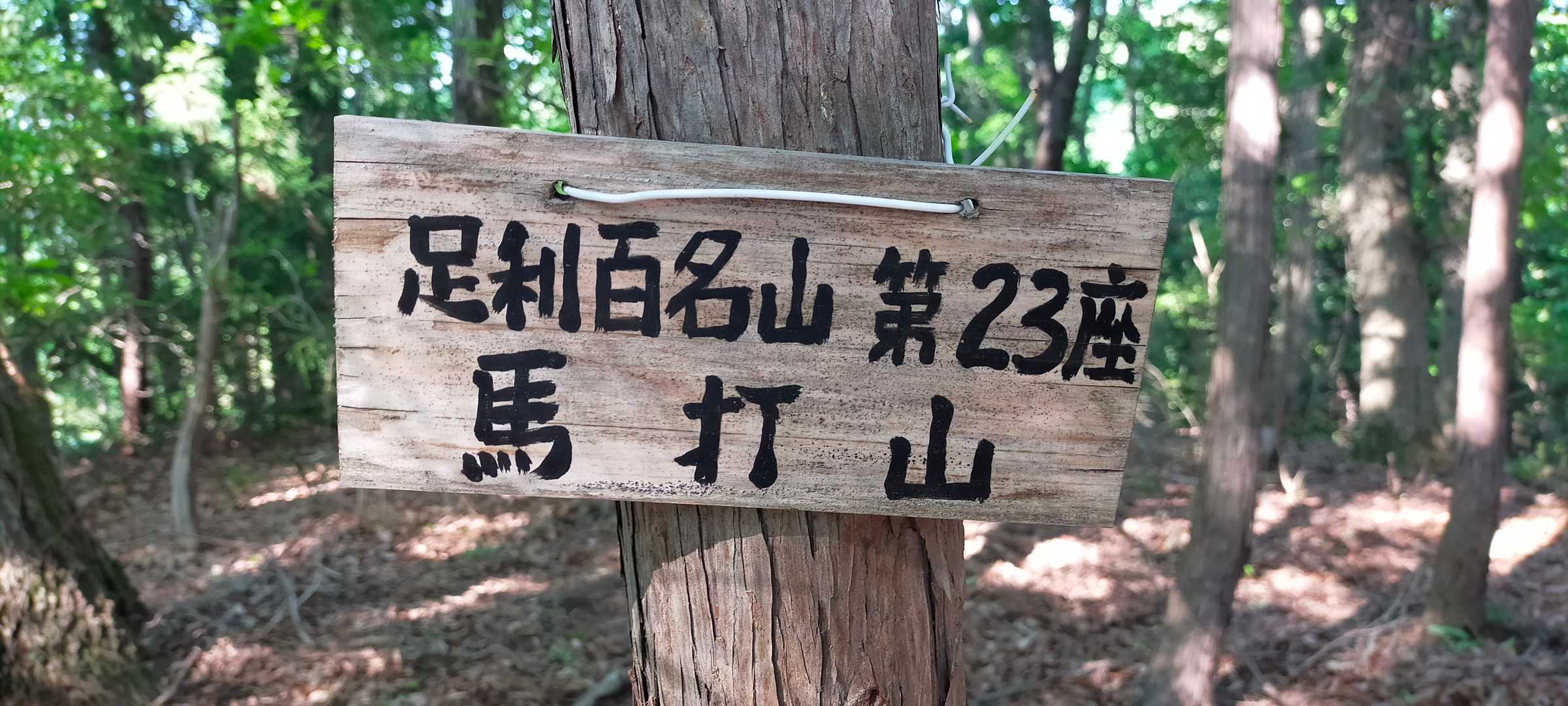馬打山 山頂♪