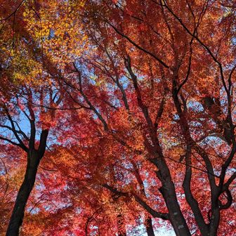 金山。綺麗すぎる