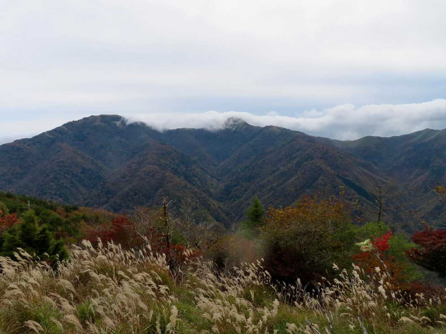 程なく稜線歩き。
雲で隠れてますが、剣山と次郎さん