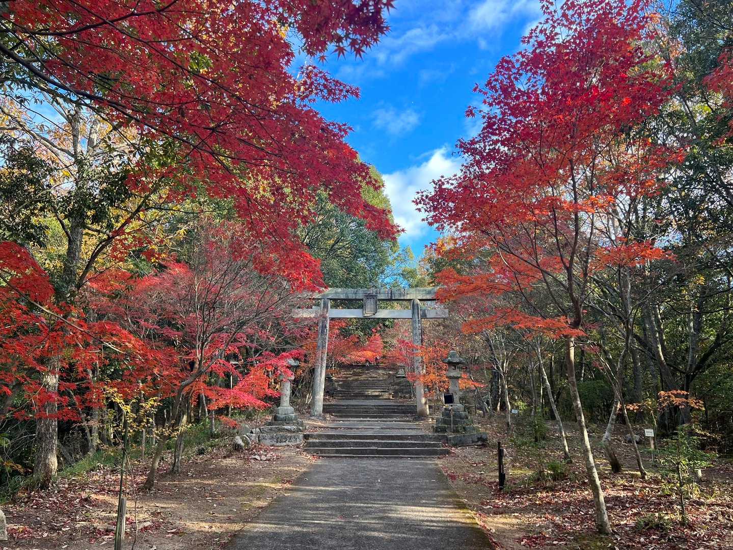 鳥居と紅葉。
