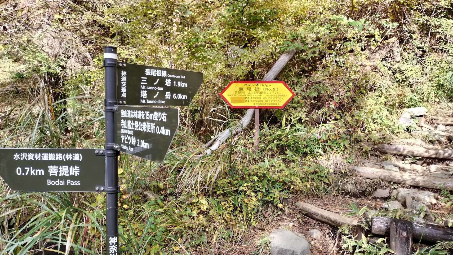 ここから登山道スタート👍️
