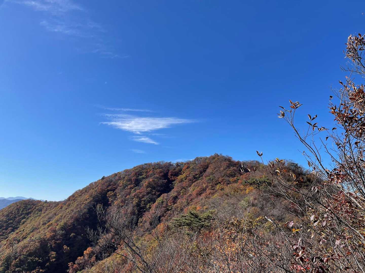 高田山