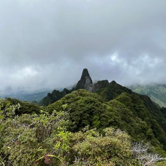 山頂で景色が見れただけでも感謝