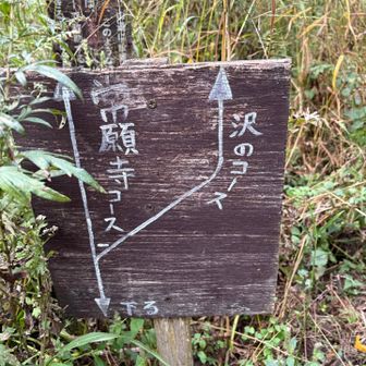 沢のコースまた来たい