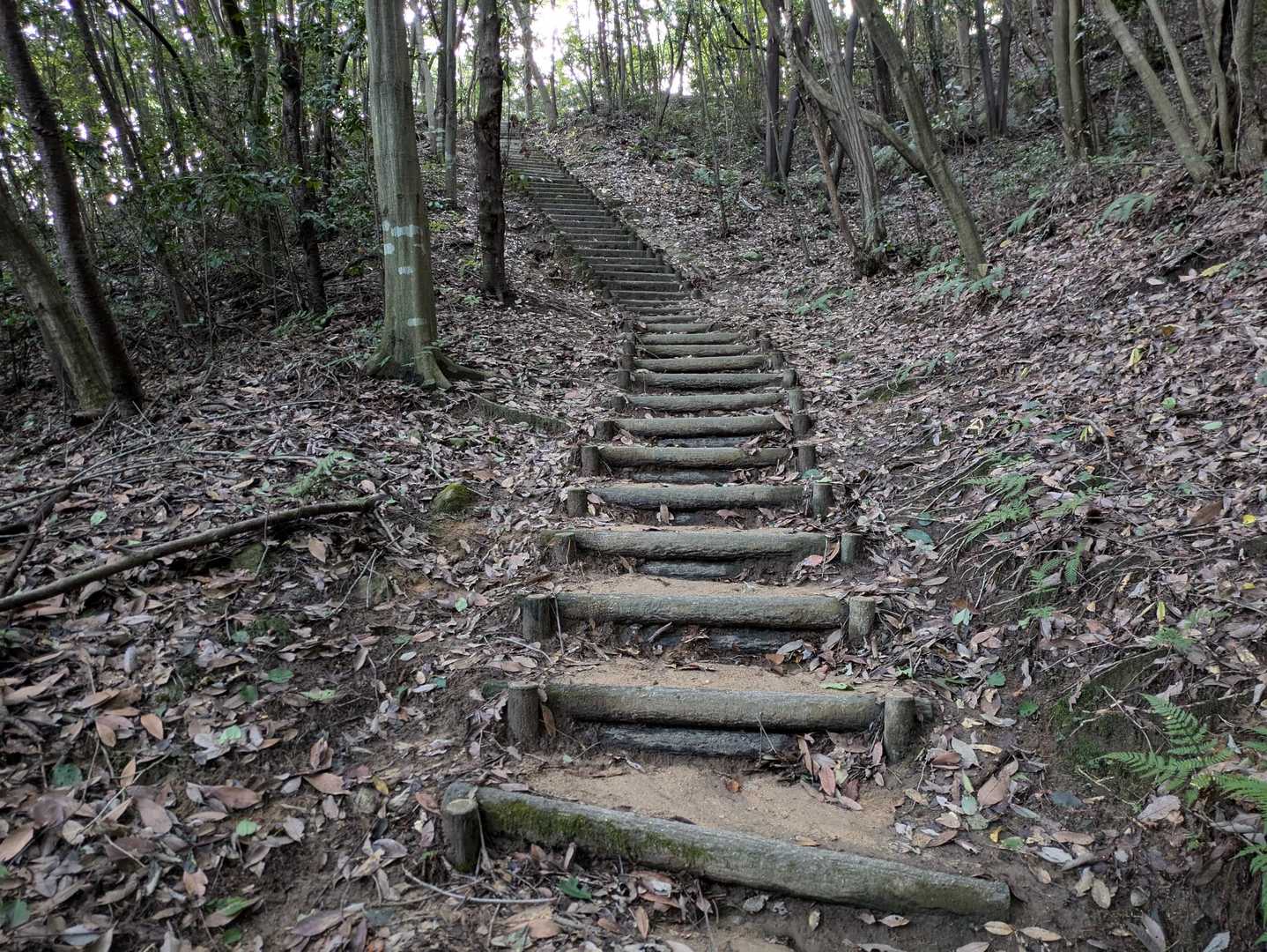 まずは鏡山へと、山登り開始。