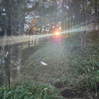 眩しい西陽を浴びながら🌅下山中
部長を探せ！