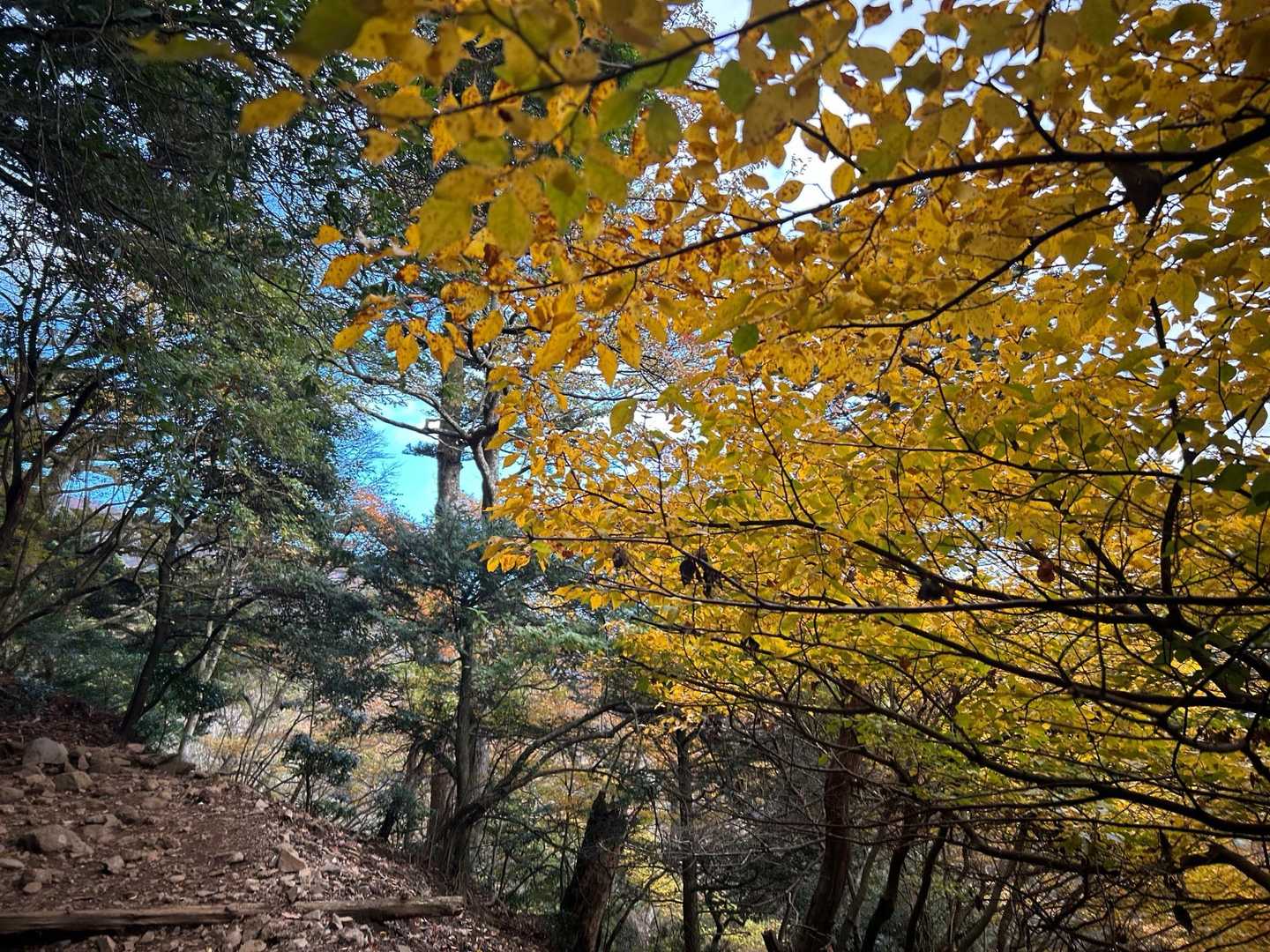 秋🍂が来た🤤