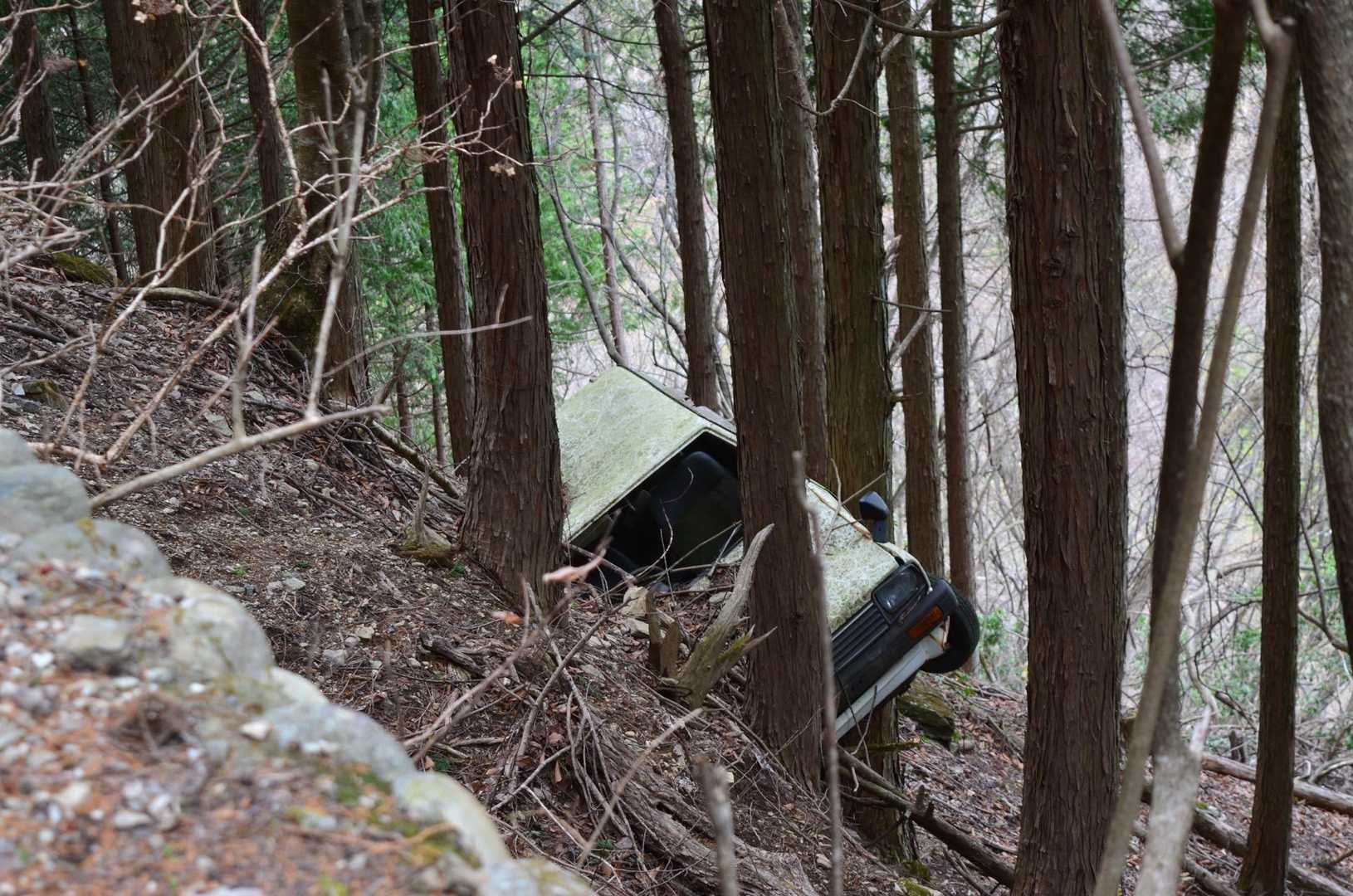 武甲山 周回コースの写真