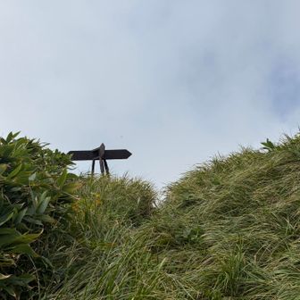 谷川連峰縦走路との分岐点
ようやく中ゴー尾根が終わる