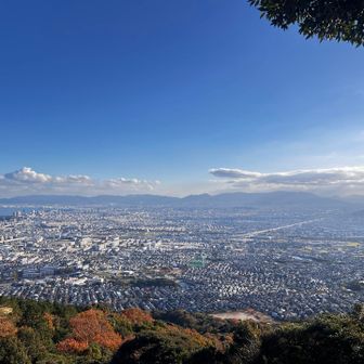 福岡市を一望