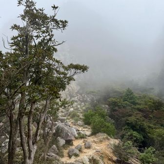鎌ヶ岳山頂直下に来ました。

ガスがさらに酷くなり、急峻な岩の山肌も隠れています。