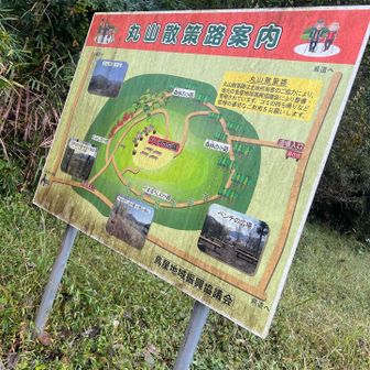この公園は草茫々。誰も来ないのかも。シカは横切っていった！