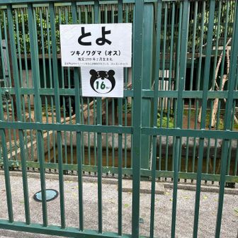 ここの看板に書いてあるとおりイノシシのワナに誤捕獲されていた熊さん　「トヨ」というらしいです　まぁこうしてオリの中にいる限りでは熊さんって言うてられますよね　妙見の山に熊がいるということですね💦
私の後ろの方にいた若い女性ランナーがこの熊さん見て「あー奈良から来た子かぁー」って大きな声で言ってましたがそれは「鹿やろ！」とツッコミたかったんですがだいぶ後方にいた子なんで何も言わずでした笑
