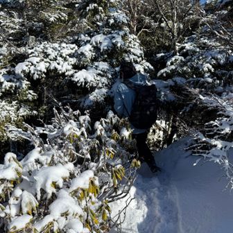 ここを抜けると