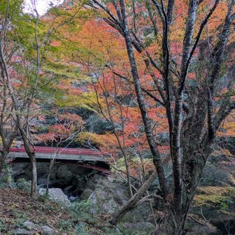 王滝渓谷を歩きます