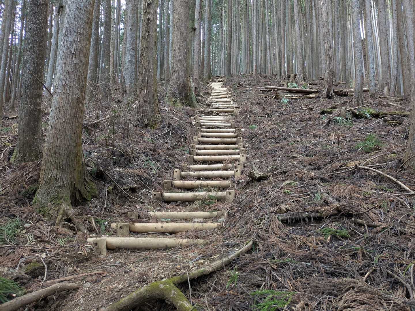 果てしない階段💦