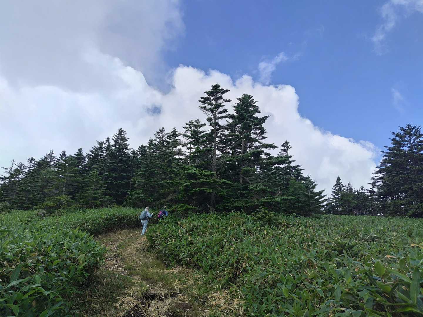 四阿山 往復コースの写真