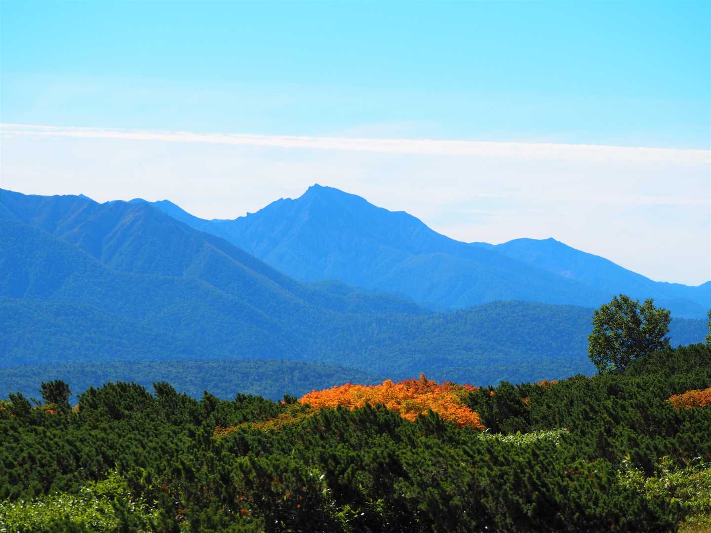 緑岳 往復コースの写真