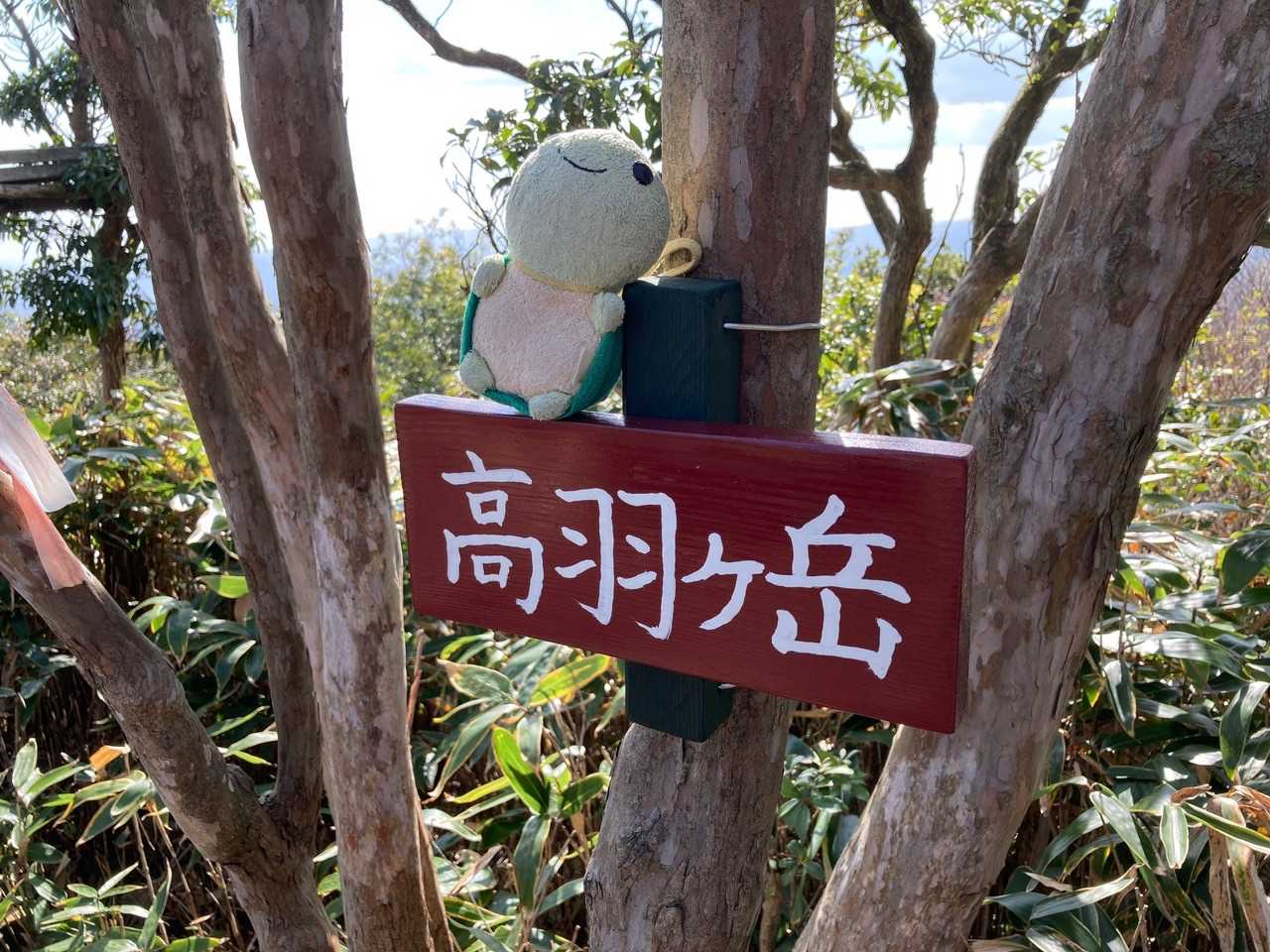 久しぶりの山行で気持ちが良いねぇ～🤗