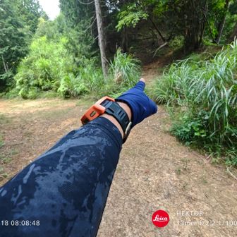 さっきの分岐直ぐ先、間違えやすい。登山道は左手に進む
まあ左の林道に行っても合流するけど、登山道じゃ無いのでつまらんよ。