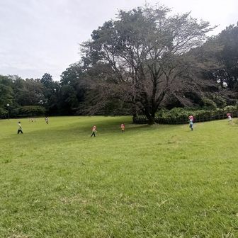 片倉城跡公園の二の丸広場