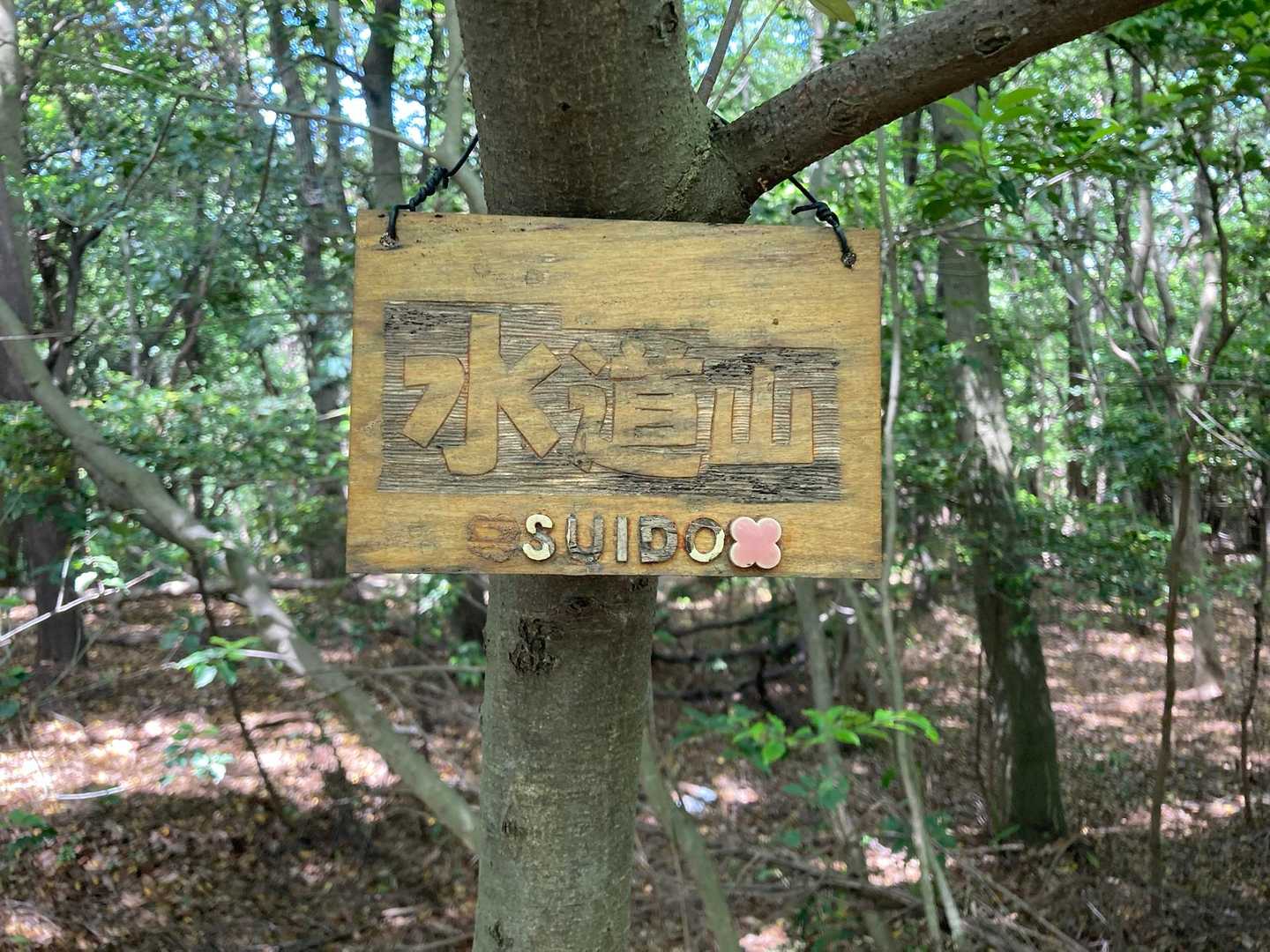 水道山-羽角山 往復コースの写真