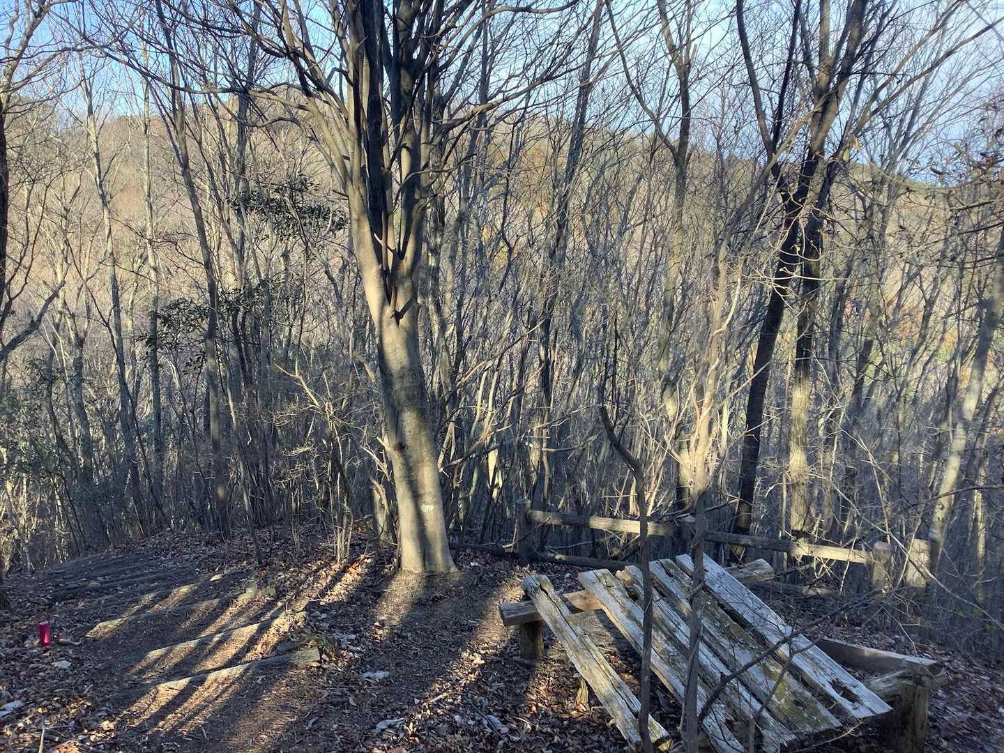 壊れ気味ですが登山道沿いにベンチを数カ所見かけました。