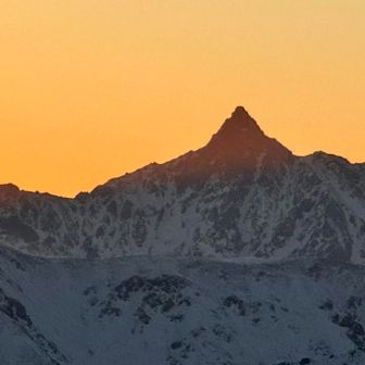 穂先が焼けてきた