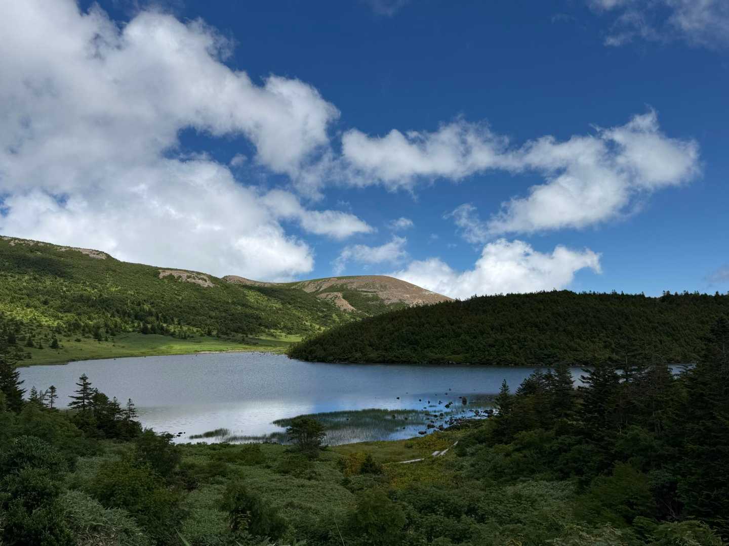 鎌沼👀