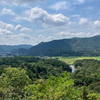 八幡展望台からの景色