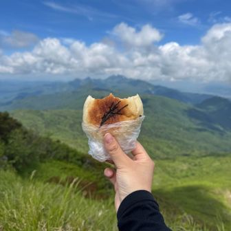 どんぐりという札幌にある一度入ると買いすぎるパン屋さんの明太子チーズおやき、うますぎるな？！？
汗かいたあとの明太子のおいしさったら！
ちなみに黒糖りんご蒸しパンみたいなやつも食べたけど元気でる行動食となりおすすめ◎