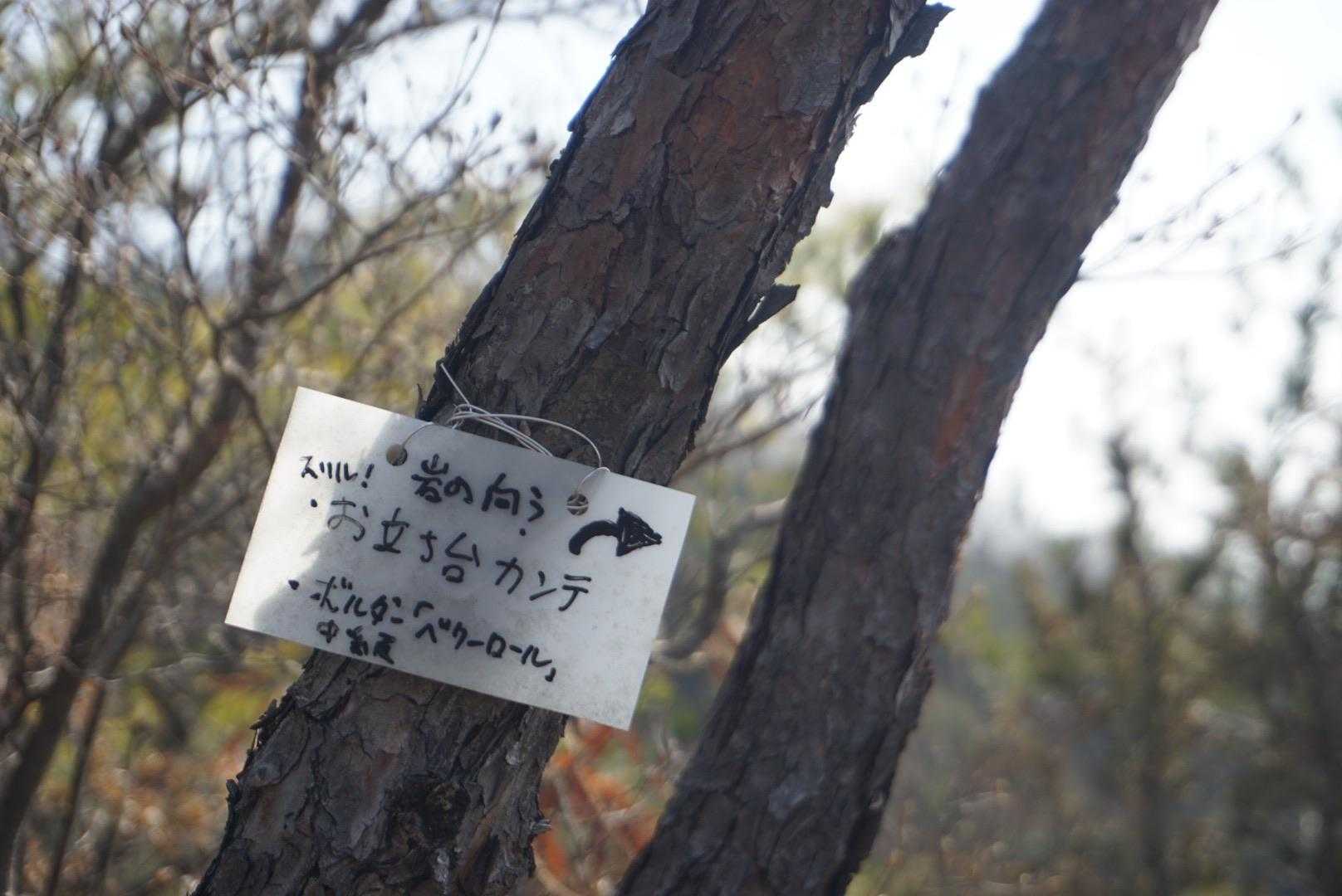 お立ち台⁉︎
