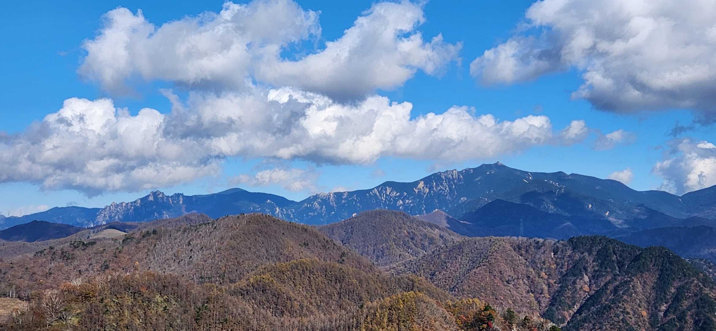 登ってみたら今日一の絶景🙌